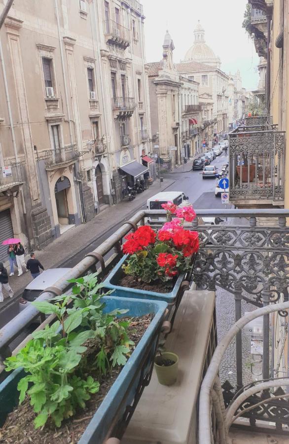 Bed And Books Isabella Bed & Breakfast Catania Ngoại thất bức ảnh